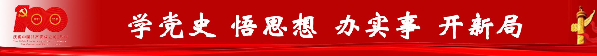 学党史 悟思想 办实事 开新局